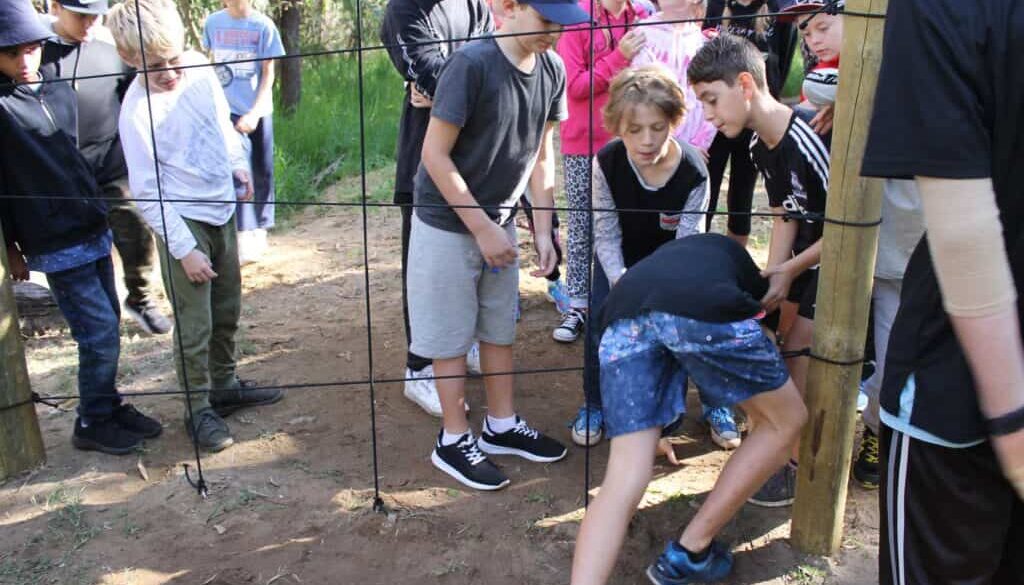 LowRopes